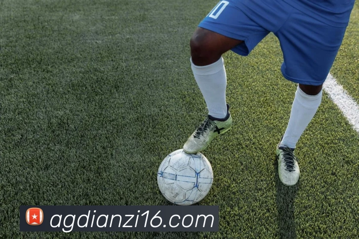 ag电子体育平台生态图