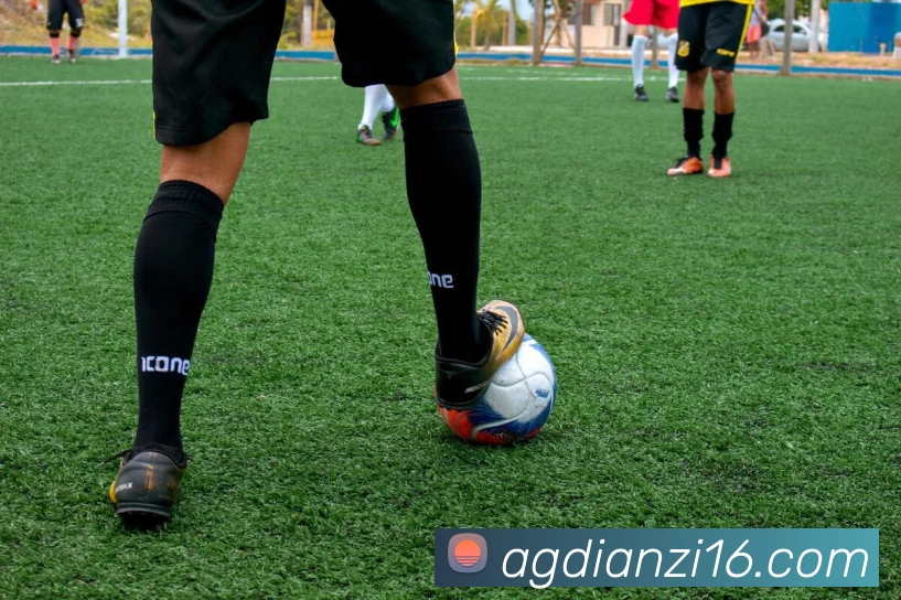 ag电子体育APP 封面图